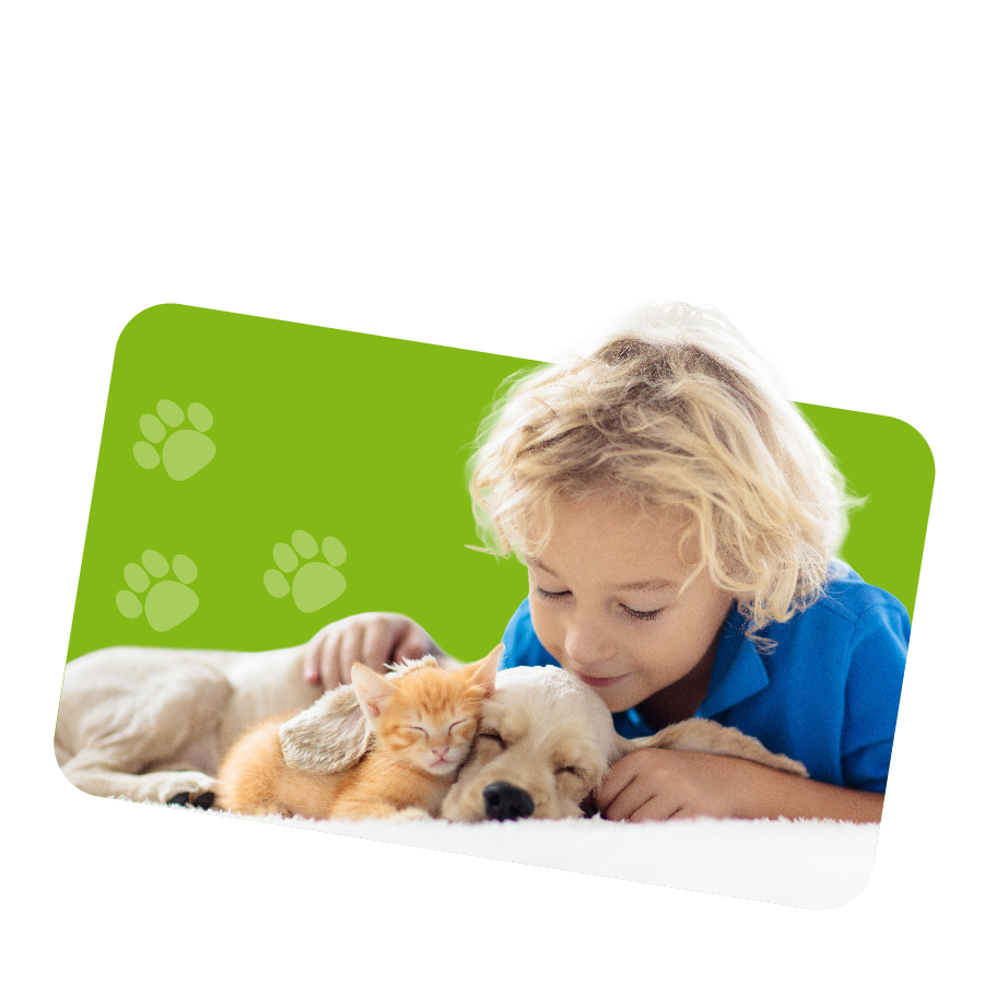 Kind umarmt Hund und Katze